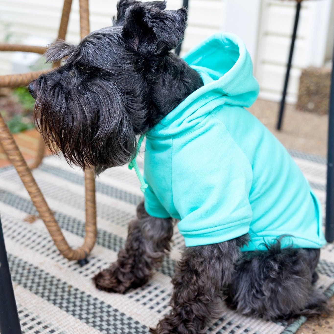 Dog Shirt For Dog Mamas Boy Dog Sweatshirt Warm Pet Hoodie for Puppy Clothes for Small Dog Tshirt for Cat Sweater for Large Dog Teal Shirt