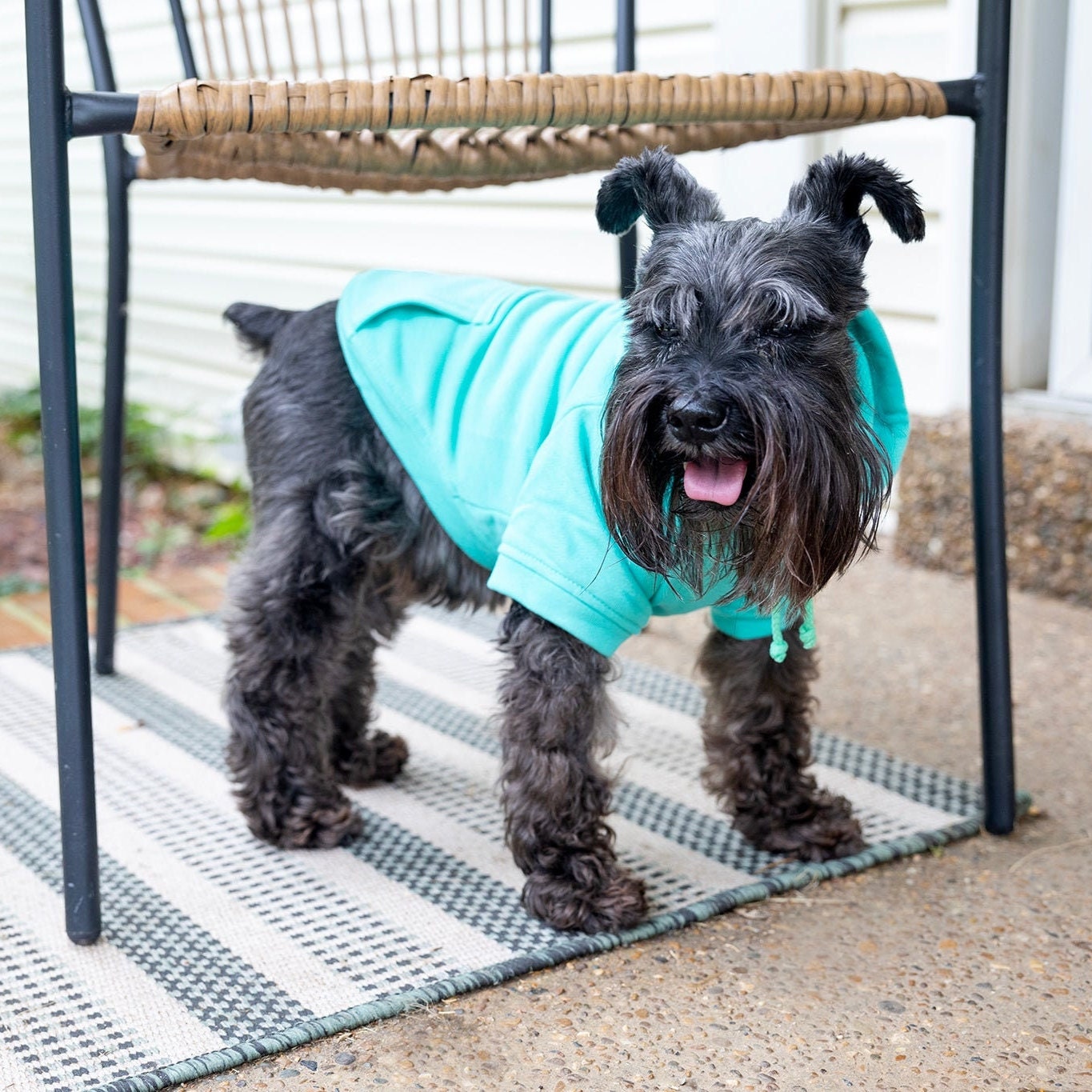 Dog Shirt For Dog Mamas Boy Dog Sweatshirt Warm Pet Hoodie for Puppy Clothes for Small Dog Tshirt for Cat Sweater for Large Dog Teal Shirt