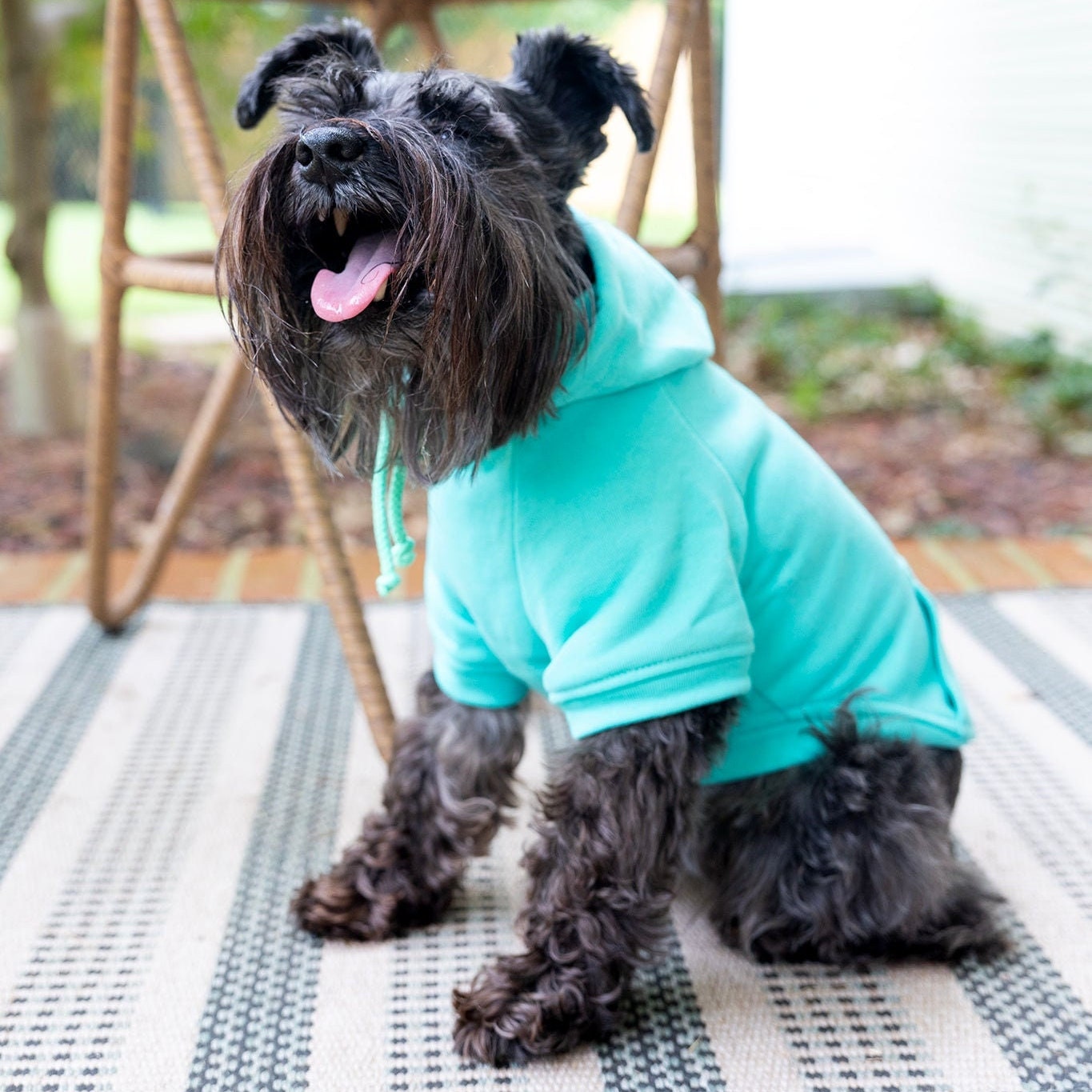 Dog Shirt For Dog Mamas Boy Dog Sweatshirt Warm Pet Hoodie for Puppy Clothes for Small Dog Tshirt for Cat Sweater for Large Dog Teal Shirt