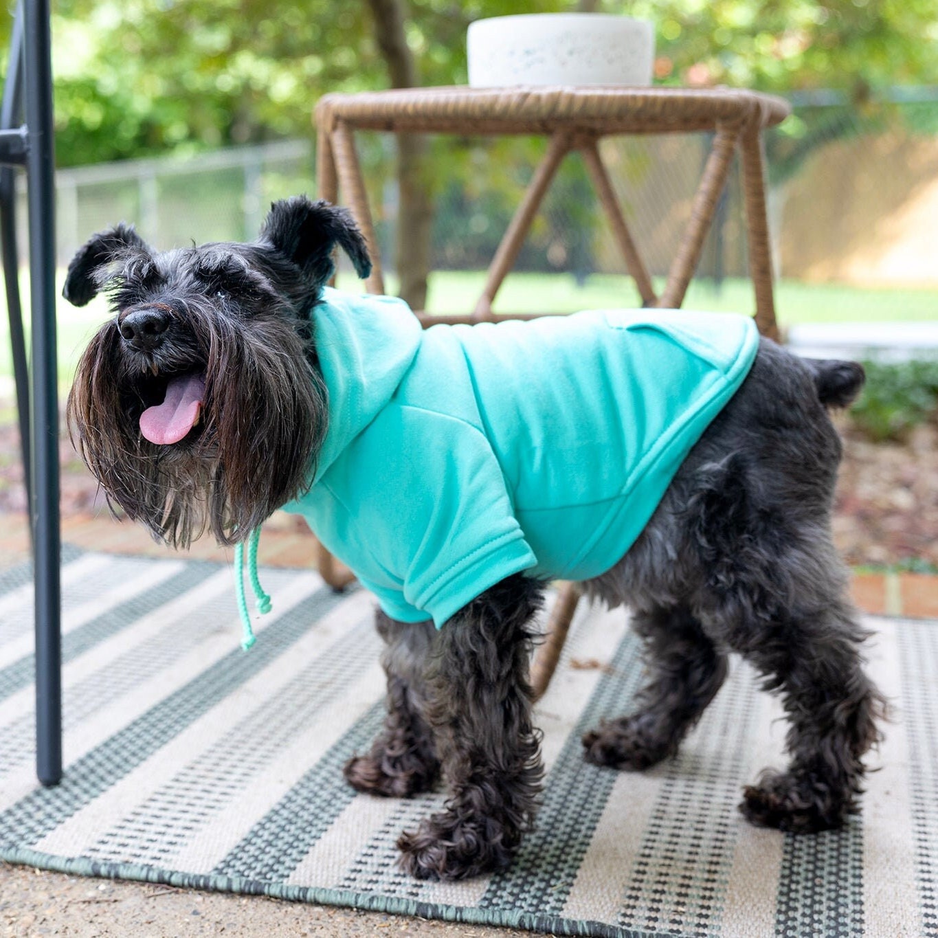 Dog Shirt For Dog Mamas Boy Dog Sweatshirt Warm Pet Hoodie for Puppy Clothes for Small Dog Tshirt for Cat Sweater for Large Dog Teal Shirt